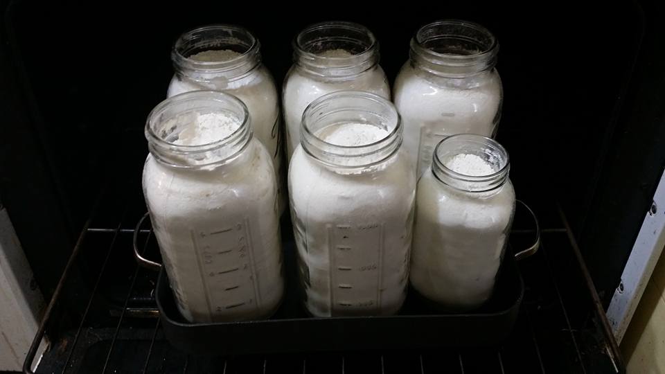 Food Preservation Methods Got us Through the Great Recession